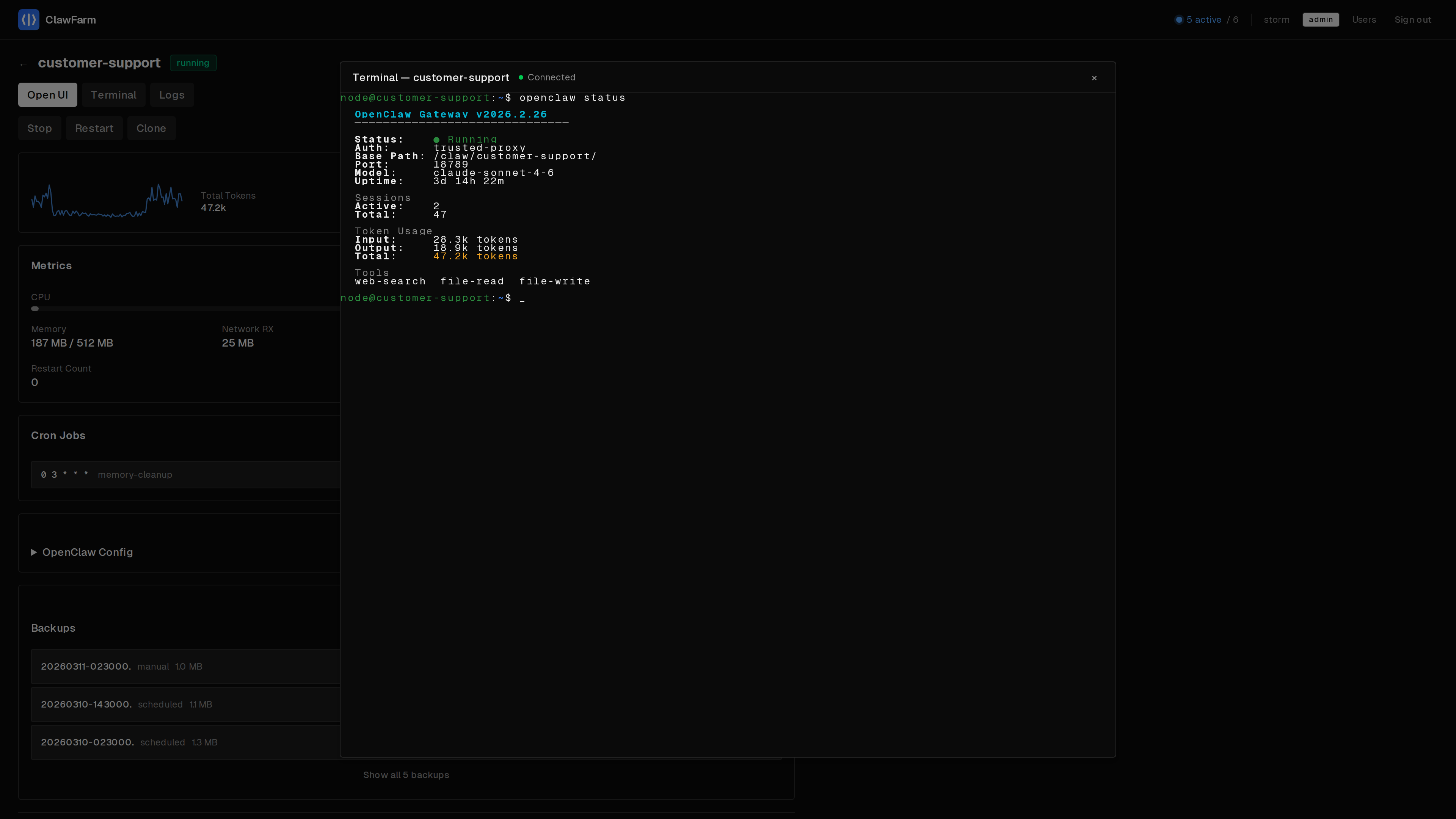 Web terminal with interactive shell into a running agent